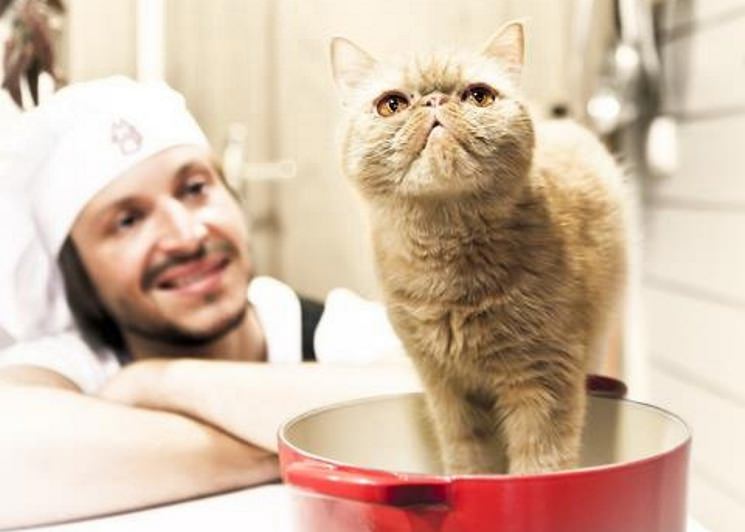 Cocinando con Catman
