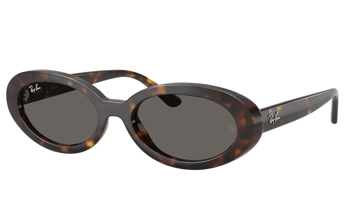 Ray Ban RB 2223 902/B1 54