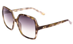 Gafas de sol Roberto RS2962